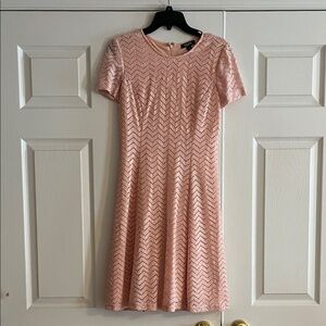 SLNY Blush Chevron Mini Dress